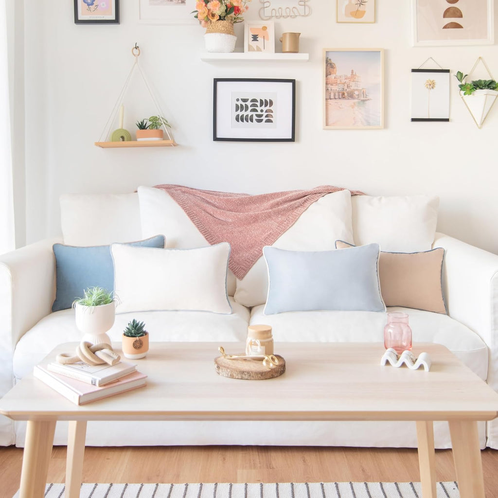 MONDAY MOOSE Decorative Throw Pillow Covers Cushion Cases, Set of 4 Soft Velvet Modern Double-Sided Designs, Mix and Match for Home Decor, Pillow Inserts Not Included (12x20 inch, Beige/Light Blue)