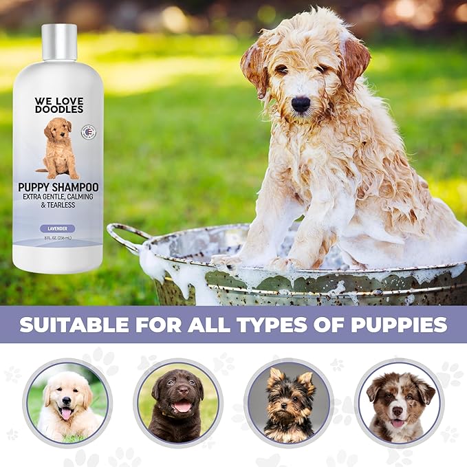 Puppy Shampoo & Conditioner | Made in USA | Tear Free | Best Shampoo for Puppies | Sensitive & Itchy Skin Wash | Oatmeal Bathing | Tearless, Lavender, 8oz [We Love Doodles]