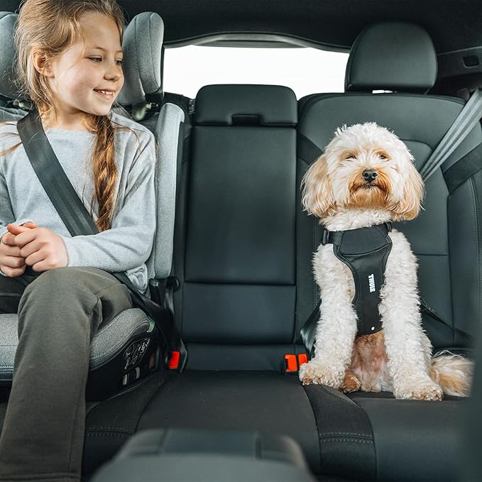 Thule Cappy Dog Harness M - Crash-Tested for Safety - Seatbelt passthrough - Adjustable & Easy to Clean - Padded Breathable mesh Panels - Leash Loop - Step-in Design