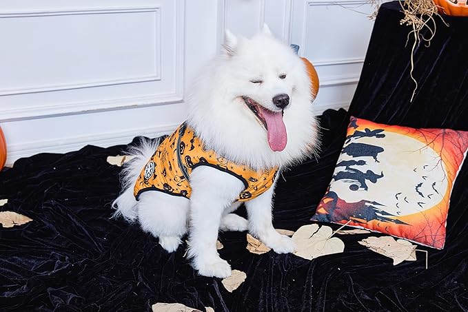 Aiboria Dog Jackets Windproof Outfit Coat Dog Vest Harness Puppy Warm Jacket Halloween Orange M