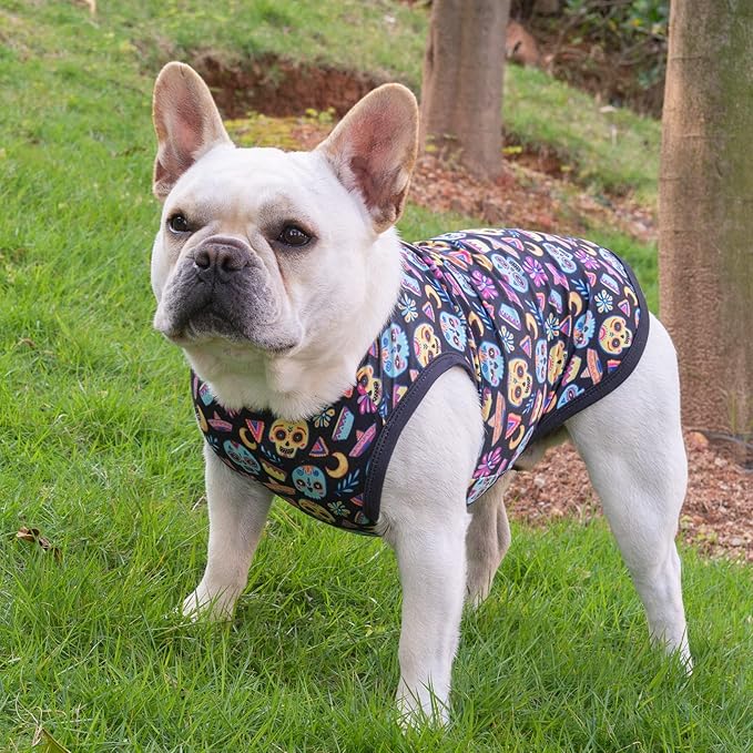 CuteBone Halloween Dog Shirts 2-Pack Soft Pet Clothes Breathable Summer Vest for Small Puppy and Stretchy Cat Apparel 2BX07XS