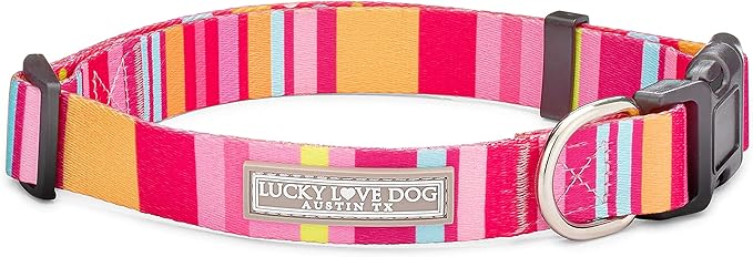Lucky Love Cute Dog Collar for Girl Dogs - Colorful Stripes, Yellow, Pink, Blue - Large, Molly Collar