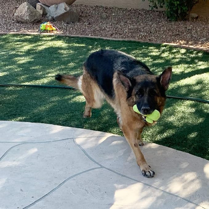 Jalousie 18 Pack Dog Squeaky Toys Cute Stuffed Pet Plush Puppy Chew for Small Medium Pets - Bulk