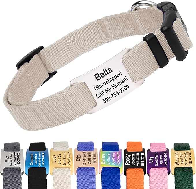 GoTags Personalized Dog Collar with Nameplate, Adjustable Dog Collar with Custom Engraved Slide On Pet ID Tag in Stainless Steel, Silent, No Noise Dog Tag (Beige, Medium)