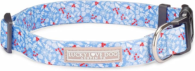 Lucky Love Dog - Adjustable Dog Collar with Easy Click Buckle for Small to Large Dogs, Durable, & Comfortable for Male & Female Dogs, Pet Collar for Puppies & Adult Ones - Winterblue, XS