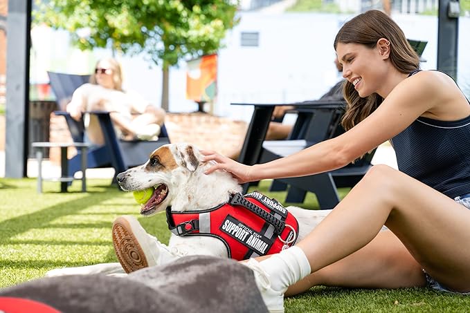Support Pets The Only Official ESA™ Dog Harness – Adjustable No-Pull Dog Vest for Easy Pet Recognition with Reflective Straps – Soft, Padded & Comfortable for Training and Daily Use - Medium
