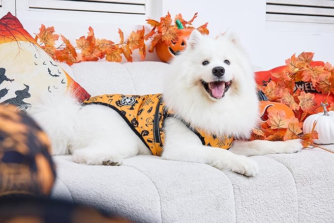 Aiboria Dog Jackets Windproof Outfit Coat Dog Vest Harness Puppy Warm Jacket Halloween Orange 4XL