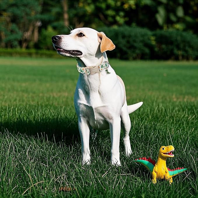 DOGWONG Dinosaur Dog Collar- Cute Summer Dog Collars Adjustable Designer Puppy Dinosaur Dog Collar for Boy Male Small Medium Large Dogs XL