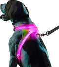 Noxgear LightHound – Revolutionary Illuminated and Reflective Harness for Dogs Including Multicolored LED Fiber Optics (USB Rechargeable, Adjustable, Lightweight, Rainproof) (Small)