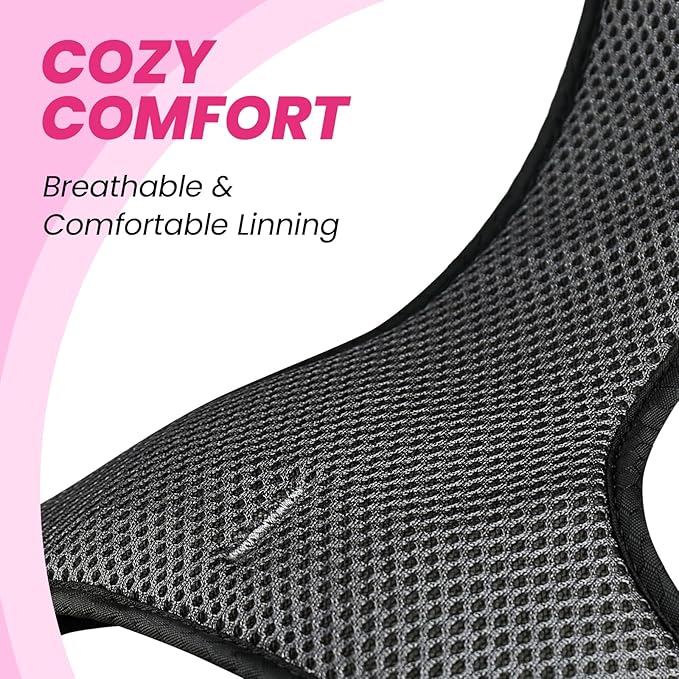 VIVAGLORY Dog Harness Easewalk No Pull Dog Harness with Handle & Front Back Clip for Training Lifting, Easy On Adjustable Padded No Pull for Pet & Puppy, M, Pink