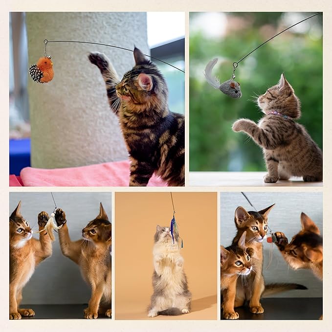 Interactive Play Set - Set of 5 Replacement Toys: Mouse, Duck, Feathers, Balls & Worm Heads - Engaging Cat Toys with Realistic Designs for Endless Fun