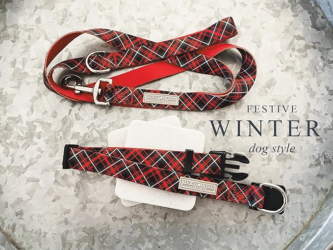 Lucky Love Dog - Adjustable Dog Collar with Easy Click Buckle for Small to Large Ones, Durable, & Comfortable for Male & Female Dogs, Pet Collar for Puppies & Adult Dogs - Heywood, Small