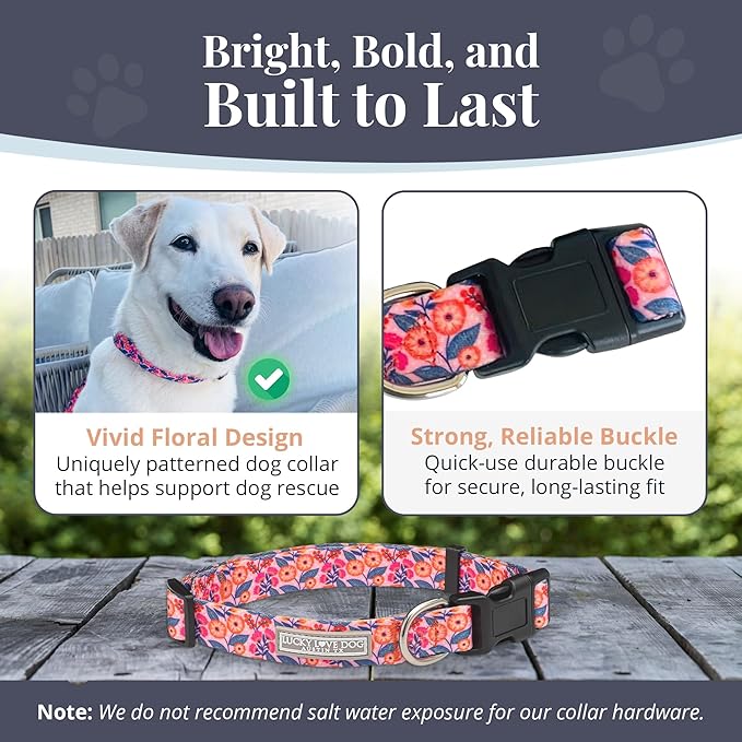 Lucky Love Dog - Adjustable Dog Collar with Easy Click Buckle for Small to Large Ones, Durable, & Comfortable for Male & Female Dogs, Pet Collar for Puppies & Adult Dogs - Rosie, XS