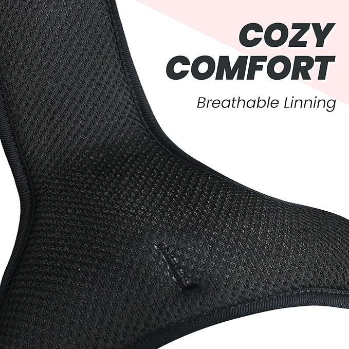 VIVAGLORY Dog Harness Easefit No Pull Dog Harness with Front Clip & Handle for Lifting Training, Adjustable Padded No-Pull Anti Pull Easy On for Puppy & Pet, L, Sakura Pink