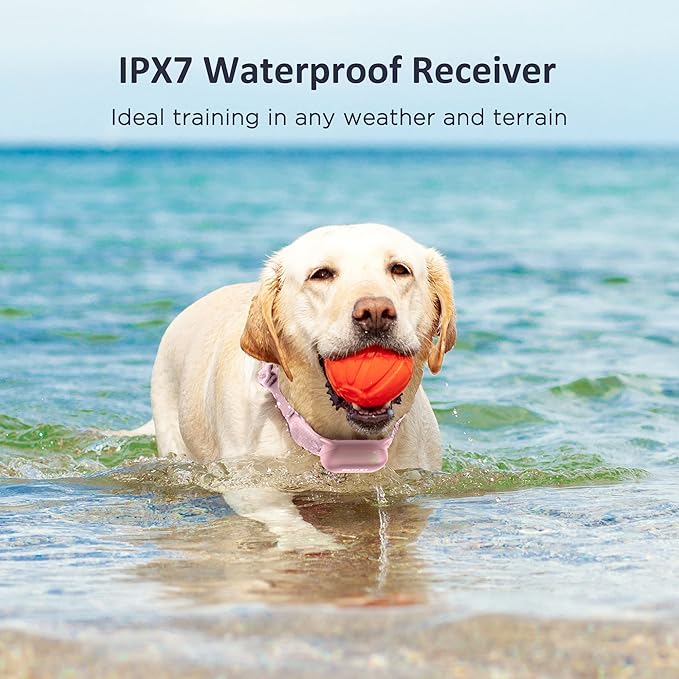 PATPET Electric Dog Shock Collar for Small Medium Large Dogs - 3 Safe Modes, Rechargeable Waterproof E Collar (8-120 lbs)