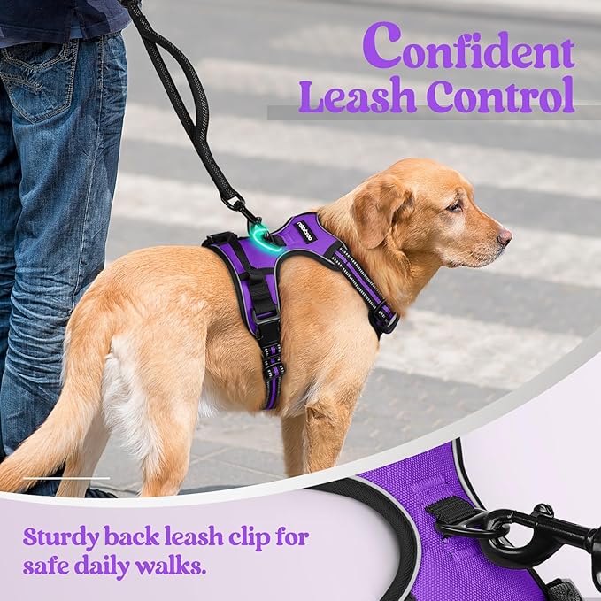 rabbitgoo Dog Harness No Pull with 2 Leash Clips, Adjustable Soft Padded, Reflective Oxford No Choke Pet Vest with Easy Control Handle for Large Dogs, Purple, XL