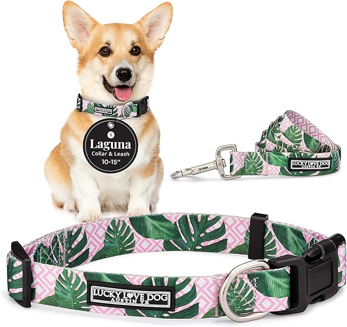 Lucky Love Dog, Tropical Matching Dog Collar & Leash Set, Soft & Comfy, Vivid Pink Color Collar and Leash for Female Male Dogs - (Small, Laguna Combo)