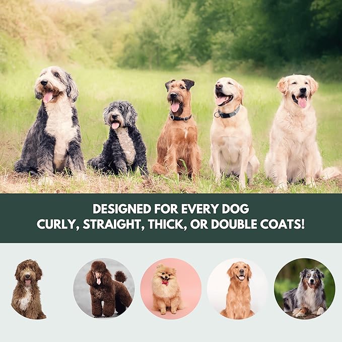 Premium Dog Slicker Brush – Doodle Grooming Brush for Long Haired Dogs - Goldendoodle, Labradoodle, Poodle & Golden Doodle – Ideal for Wavy & Curly Hair - Detangles & Fluffs Curly, Double Coats