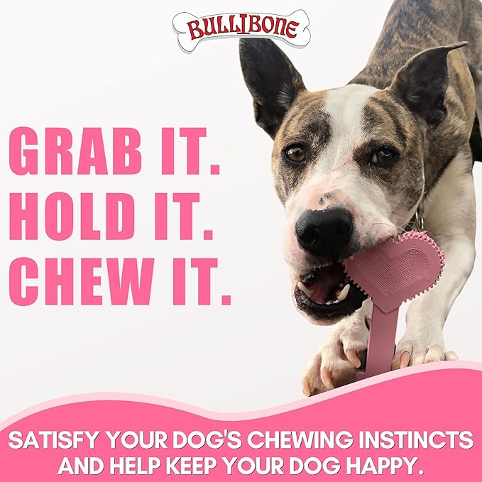 Bullibone Nylon Dog Chew Toy Nylon Bone - Improves Dental Hygiene, Easy to Grip Bottom, and Permeated with Flavor (Peppermint, Large - 2 Pack)