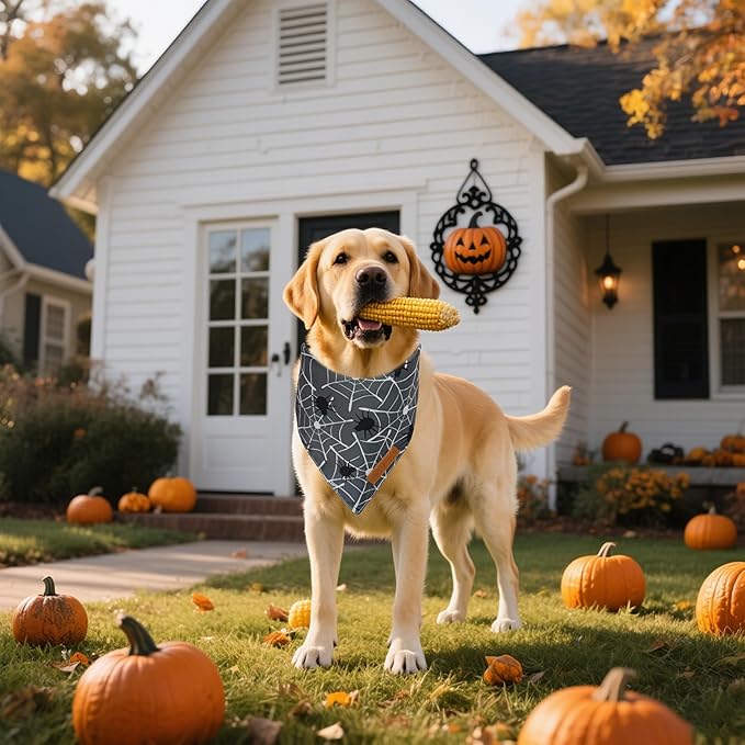 Realeaf Halloween Dog Bandanas 2 Pack, Reversible Orange Gray Pet Scarf for Boy and Girl, Premium Durable Fabric, Holiday Bandana for Small Medium Large and Extra Large Dogs (Halloween, X-Large)