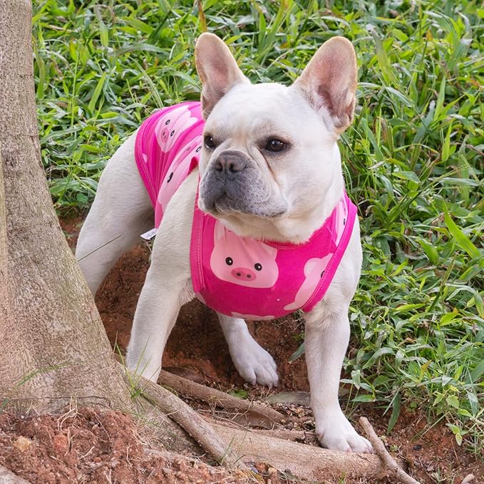 CuteBone Dog Shirts 2-Pack Soft Pet Clothes Breathable Summer Vest for Small Puppy and Stretchy Cat Apparel 2BX09XS Pig&Unicorn