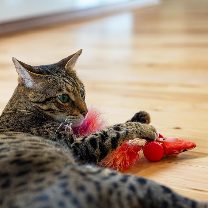 Catstages Racin' Squirrel Robot, Electronic Moving Cat Toy with Feathers, USB Rechargeable, Red