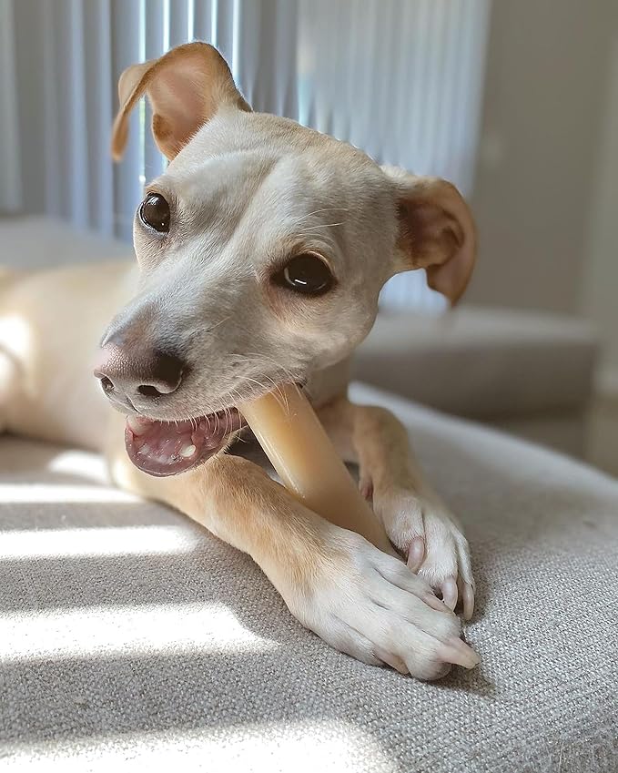 Nylabone Power Chew Original Bone - Durable & Tough Chew Toys for Aggressive Chewers - Durable Dog Toy for Medium Breeds - Original Flavor, Medium, Up to 35 Ibs. (1 Count)