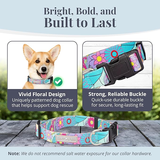 Lucky Love Dog Collars, Cute Small Dog Collars for Female Dogs, Part of Purchase Donated to Rescue, Caroline, Small