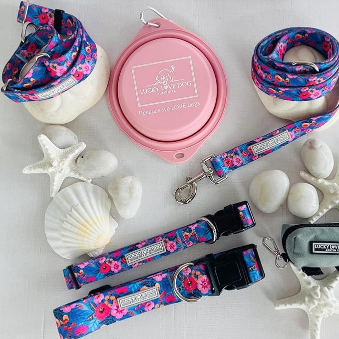 Lucky Love Dog - Easy Click Buckle Dog Collar with Leash Set Combo, Durable & Comfortable for Male & Female Dogs, Pet Collar for Small to Large Dogs, Secure Fit - Zuzu Combo, XL