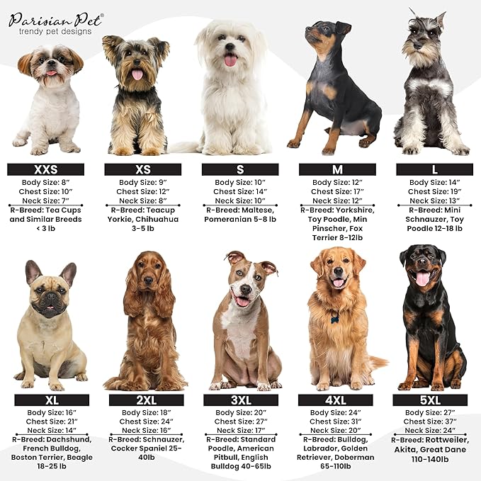 Parisian Pet Unisex Dog Tshirt - Embroidered “ Family is Everything “ Dog Shirt - Breathable and Lightweight Dog Clothes - Sleeveless Dog Tee Shirts - Machine Washable Dog Shirts for Small Dogs - S