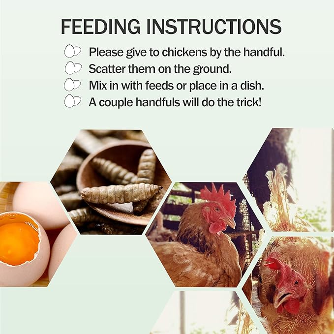 Amzey Dried Black Soldier Fly Larva-22 LBS(11LB/2Bags) -100% Natural BSF Larvae-85X More Calcium Than Dried Mealworms - High Calcium Treats for Chickens, Birds, Reptiles, Hedgehog, Turtles