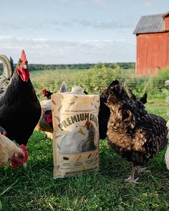 Eaton Pet and Pasture Premium Grubs, USA Grown Dried Black Soldier Fly Larvae, High Calcium Treat for Chickens, Ducks, Wild Birds (1 LB)