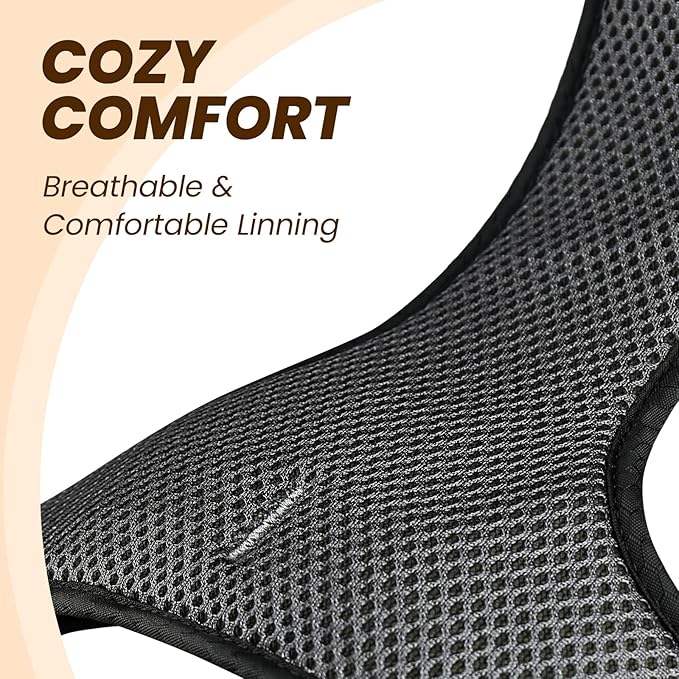 VIVAGLORY Dog Harness Easewalk No Pull Dog Harness with Handle & Front Back Clip for Training Lifting, Easy On Adjustable Padded No Pull for Pet & Puppy, S, Orange