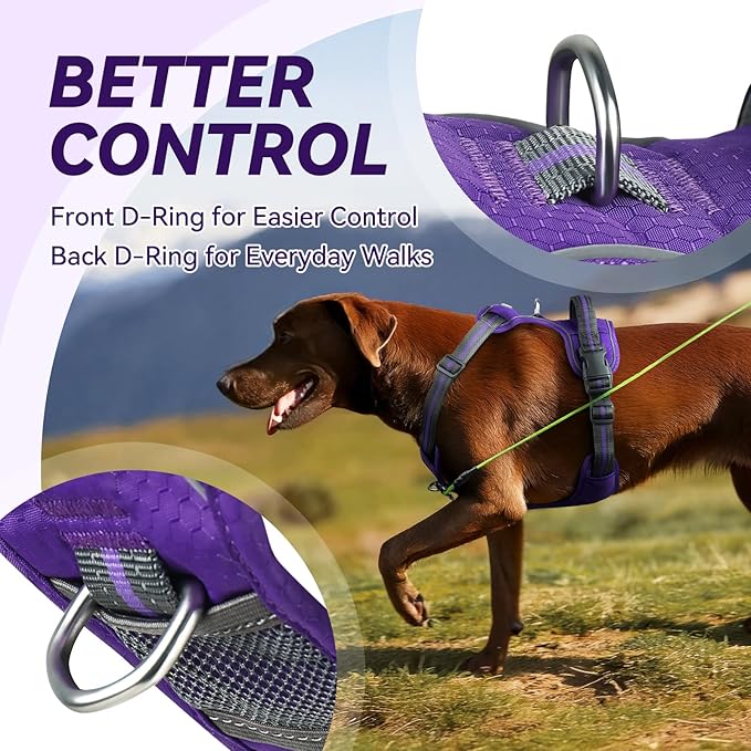 VIVAGLORY Dog Harness Easewalk No Pull Dog Harness with Handle & Front Back Clip for Training Lifting, Easy On Adjustable Padded No Pull for Pet & Puppy, M, Purple