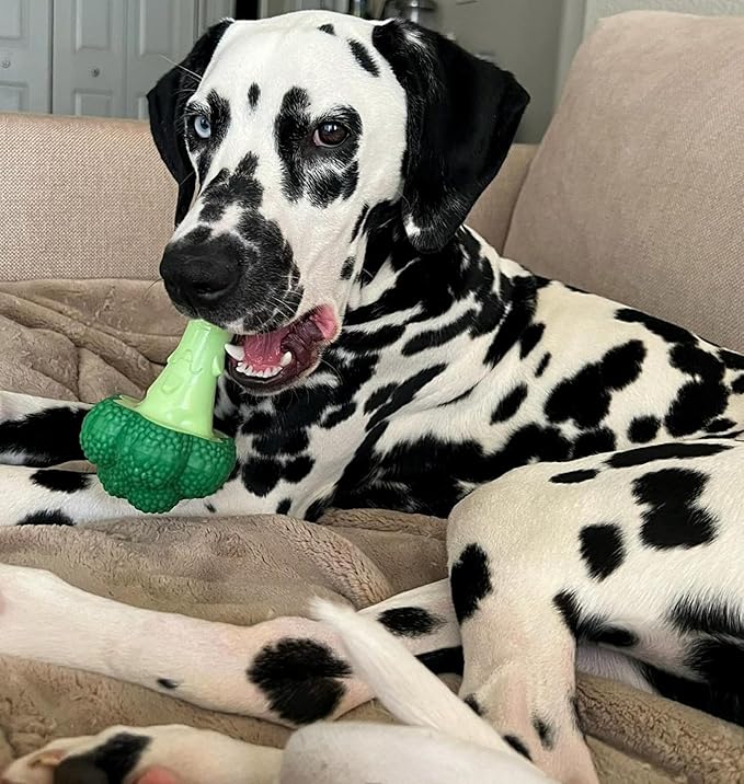 Nylabone Broccoli Power Chew Toy for Dogs, Dog Toys for Aggressive Chewers, Bacon & Cheese Flavor, Large Dogs - Up to 50 lbs, 1 Count