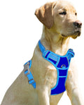 BARKBAY No Pull Dog Harness Front Clip Heavy Duty Reflective Easy Control Handle for Large Dog Walking(Sapphire Blue & Blue,L)