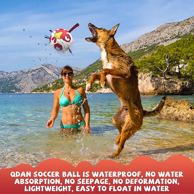 QDAN Dog Balls Toys, Outdoor Dog Toys, Dog Soccer Balls with with Straps, Premium Pet Puppy Birthday Gifts for Small Medium Dogs, 6 Inch, Chicken Ball