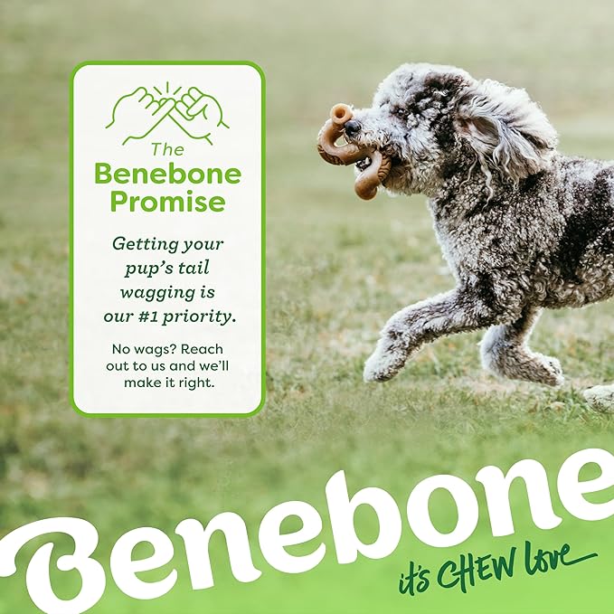 Benebone 7-Pack Medium