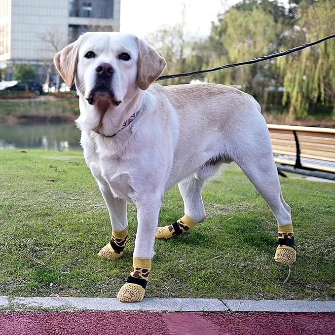 KOOLTAIL Dog Socks for Hot/Cold Pavement to Prevent Licking Paws,Dog Boots&Paw Protector for Hardwood Floors Anti Slip,Traction Control No Twist Grip Booties for Small Medium Large Senior Dogs M