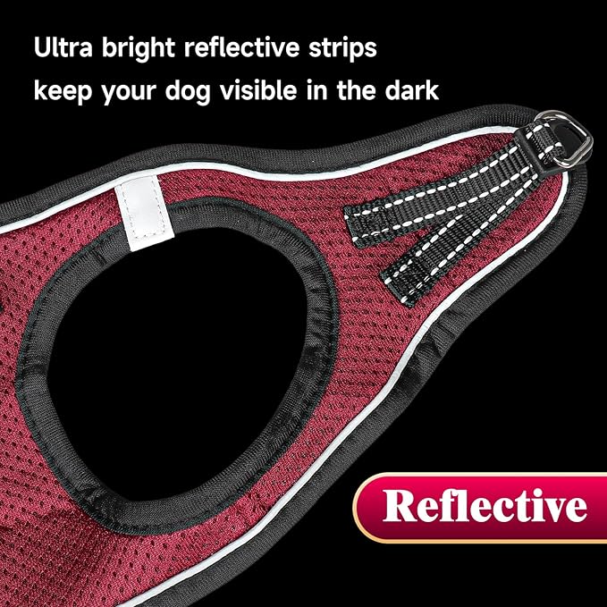 YIMEIS Dog Harness and Leash Set, No Pull Soft Mesh Pet Harness, Reflective Adjustable Puppy Vest for Small Medium Large Dogs, Cats (Grape Purple, Medium (Pack of 1)