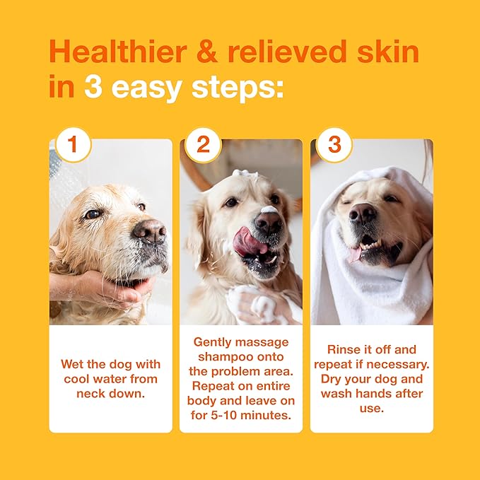 Douxo S3 Pyo Shampoo, Contains 3% Chlorhexidine & 0.5% Ophytrium, Antiseptic & Hydrating, For Bacterial or Yeast Skin Infections, For Dogs and Cats, 6.7 fl. oz. (200mL)