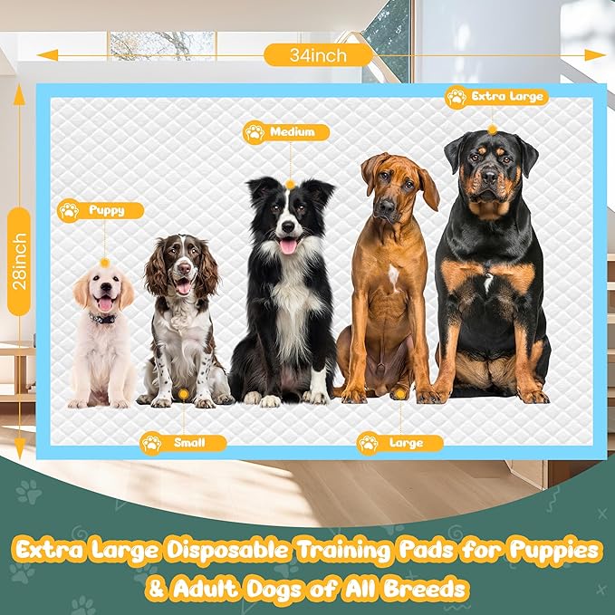 60 Count Extra Large Dog Pee Pads 28" x 34", Super Absorbent X-Large Puppy Pads Disposable Dogs Training Pads, Quick Drying Leak-Proof Dog Potty Pads for Doggies Puppies
