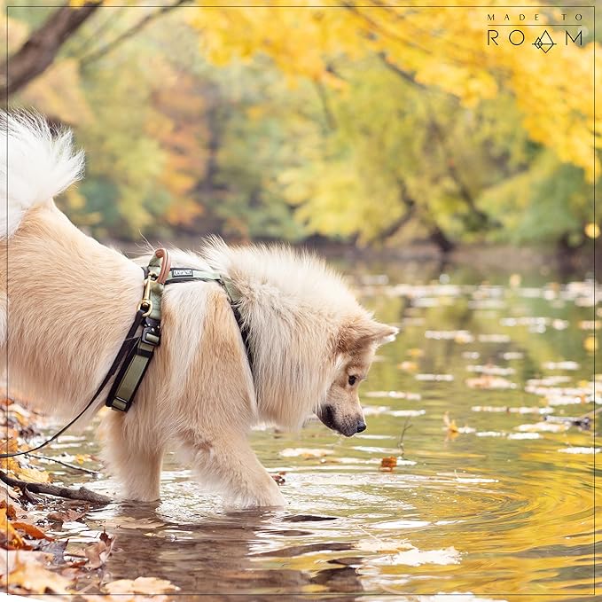 MADE TO ROAM Premium Explorer Harness - Y-Shaped Dog Harness with Adjustable Durable Nylon, Soft Padding, Metal Buckles and Leather Handle for Small, Medium, Large Dogs (Colorado Nightsky, Size 5)