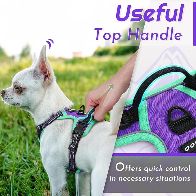 Eagloo Small Dog Harness No Pull, Service Vest with Reflective Strips and Control Handle, Adjustable and Comfortable for Walking, No Choke Pet Harness with 2 Metal Rings, Purple & Green, XS