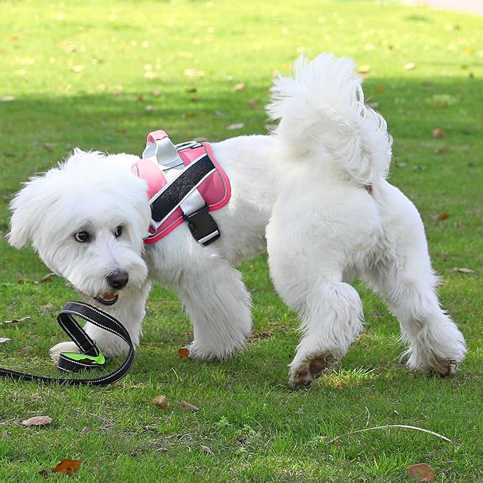 Bolux Dog Harness, No-Pull Reflective Dog Vest, Breathable Adjustable Pet Harness with Handle for Outdoor Walking - No More Pulling, Tugging or Choking (Fuchsia, X-Small (Pack of 1))