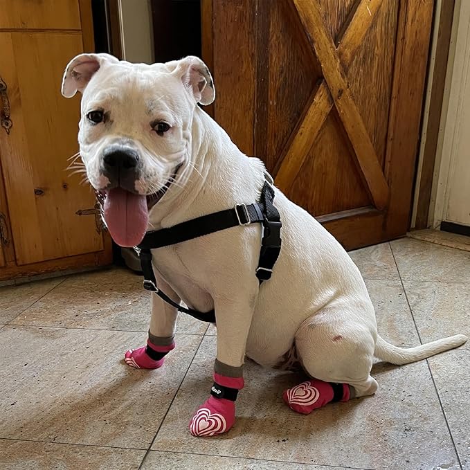 Medical Therapeutic Double Sided Non-Slip Cotton Dog Socks | PawFlex Comfy Pawz Silicone Grip on Inner Cuff No Twisting or Sliding Off | Senior & Disabled Dog Traction Control |Pet Paw Protection