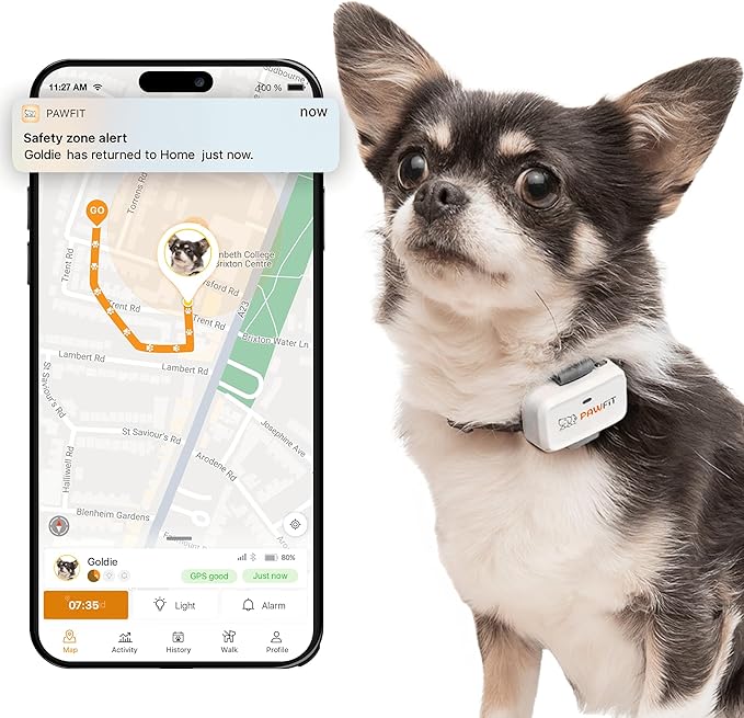 Pawfit Lite for Small Dogs 4g GPS Tracker | Real Time Tracking | Activity Monitoring |Location History | Unlimited Range | Simply White