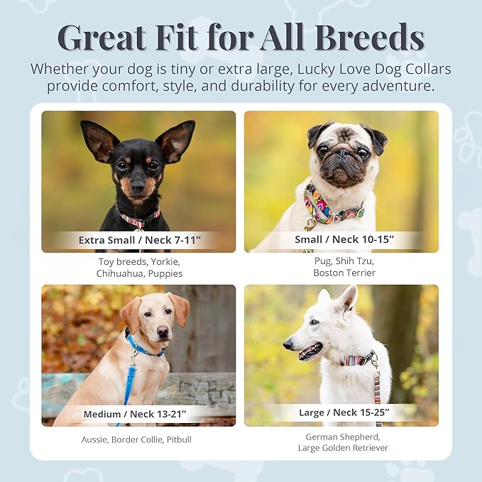Lucky Love Dog - Adjustable Dog Collar with Easy Click Buckle for Small to Large Dogs, Durable, & Comfortable for Male & Female Dogs, Pet Collar for Puppies & Adult Ones - Penny, Small
