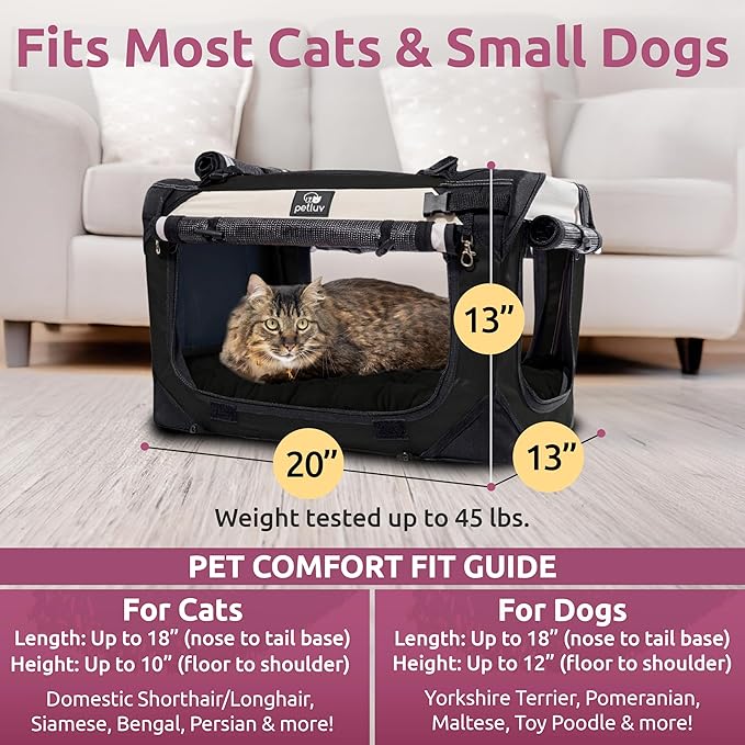 Medium Cat Carrier & Dog Carrier for Most Cats or Small Dog. Soft Sided Pet Carrier for Travel. Collapsible, Portable with Soft Bed, Top & Side Loading, Locking Zippers, Puppy Crate & Kennel
