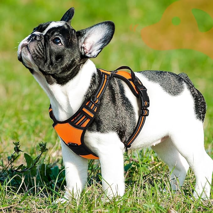 Eagloo Dog Harness Small Sized Dog, No Pull Service Vest with Reflective Strips and Control Handle, Adjustable and Comfortable for Walking, No Choke Pet Harness with 2 Metal Rings, Orange, S